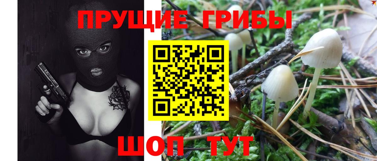 Галлюциногенные грибы мухоморы Берёзовский