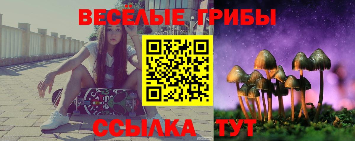 Галлюциногенные грибы Magic Shrooms Берёзовский